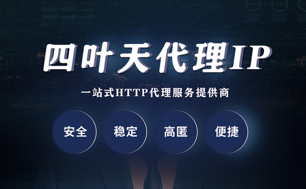 【漯河代理IP】代理ip客户端使用教程